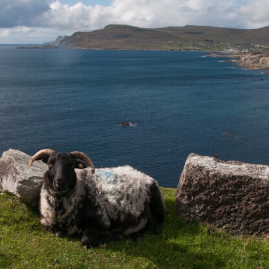 Achill Island – da ist Musik drin