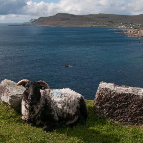 Achill Island