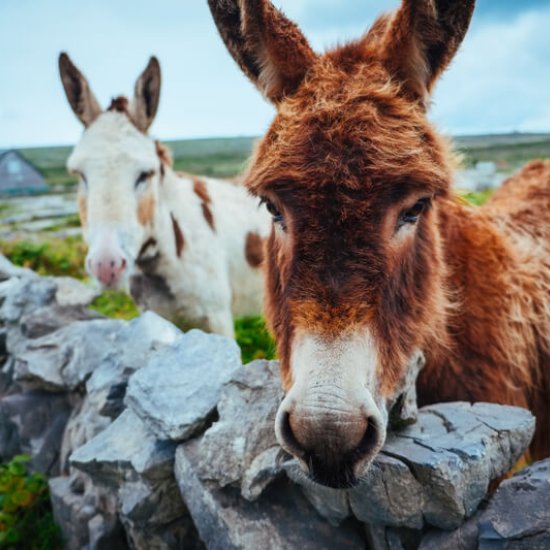 Aran Islands