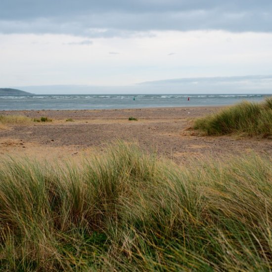 Rutland Island