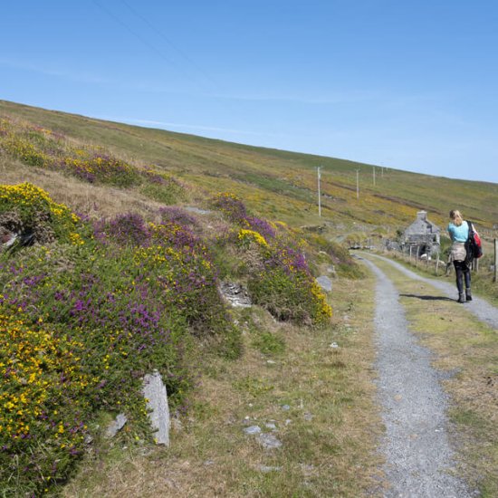 The Beara Way