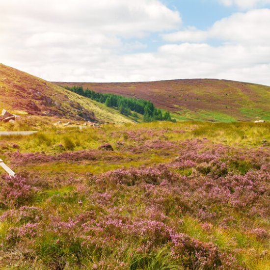 The Wicklow Way 