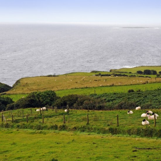 Die optimale Reisezeit für die grüne Insel Die optimale Reisezeit für die grüne Insel