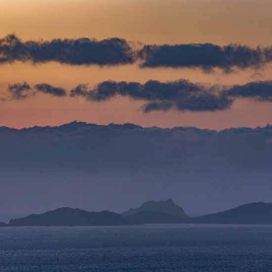 Das Irish Folk Festival Das Irish Folk Festival