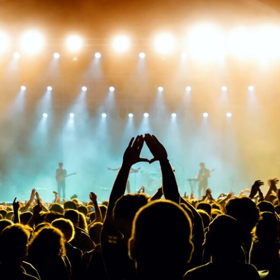 Das TFF Rudolstadt Das TFF Rudolstadt