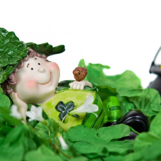 Leprechaun und Fairies
