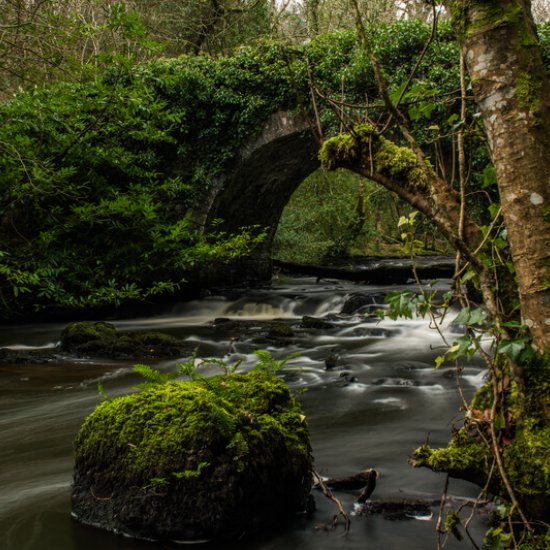 County Cavan – ein Mekka für Ahnenforscher