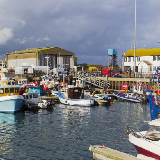 Manor House Marine Manor House Marine