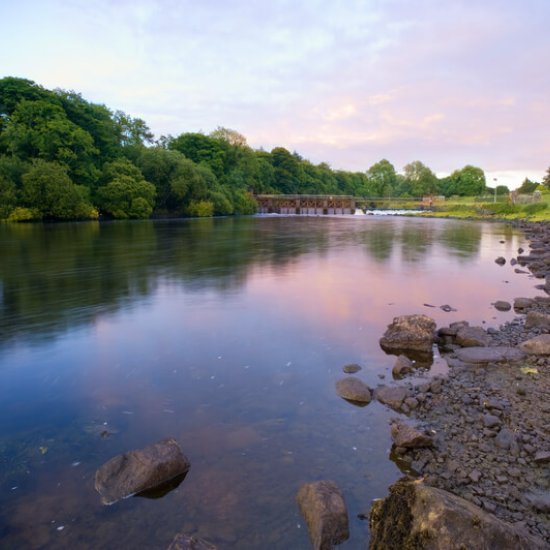 Hausboote auf dem Shannon