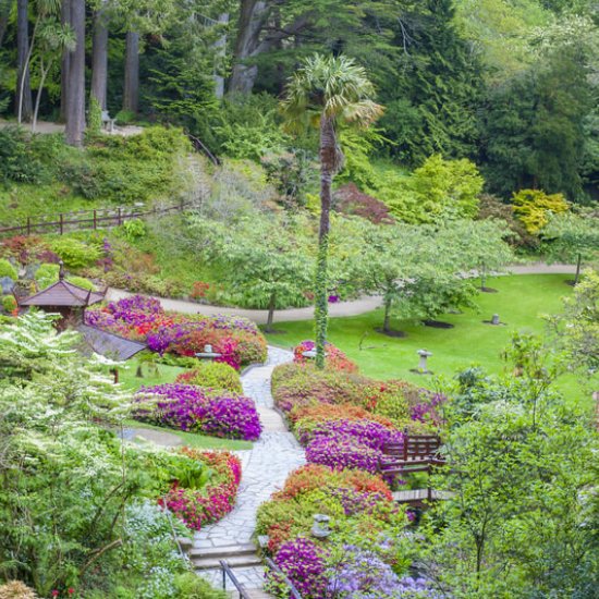 Irland – die Insel der Pflanzsüchtigen  Irland – die Insel der Pflanzsüchtigen