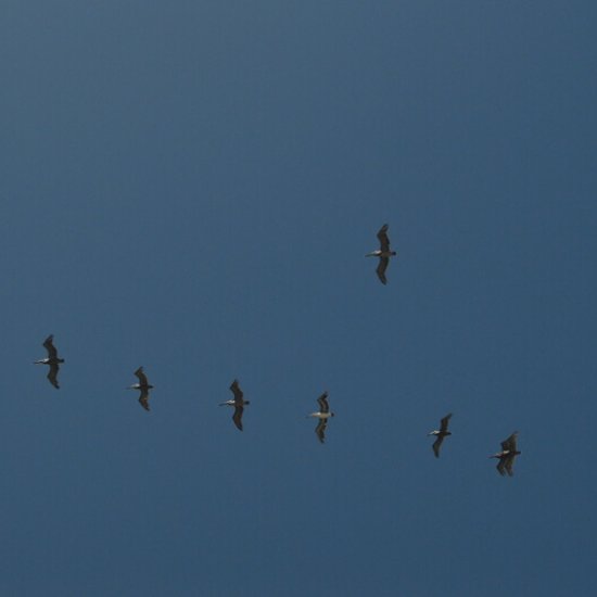 Ein Vorwort ... Ein Vorwort ...