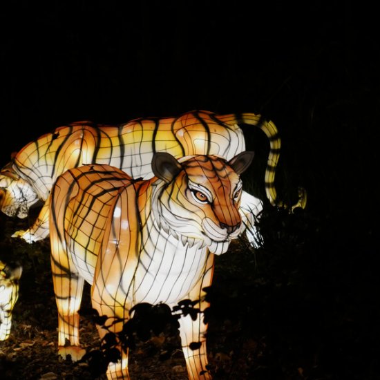 Zoos in Irland