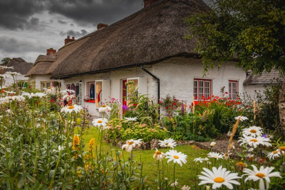 Ferienhäuser in Irland mieten