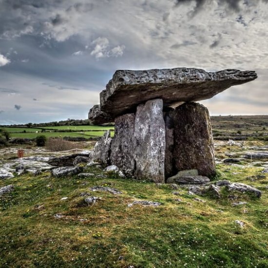 Hünengräber und Hinkelsteine Hünengräber und Hinkelsteine