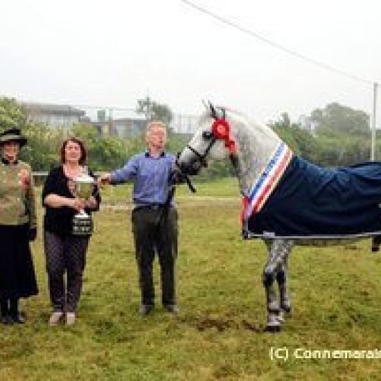 Ballyconneely Pony Show