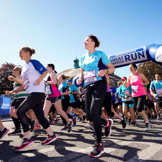 Great Limerick Run