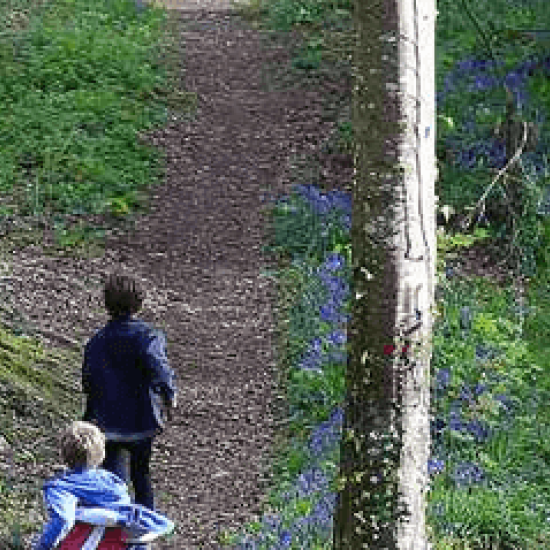 Slieve Bloom Walking Festival 