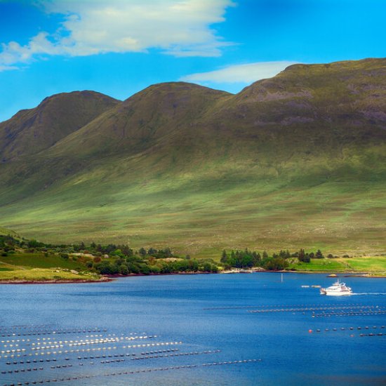 Connemara National Park