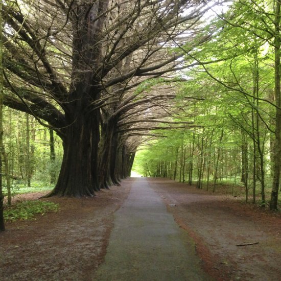 Coole Park