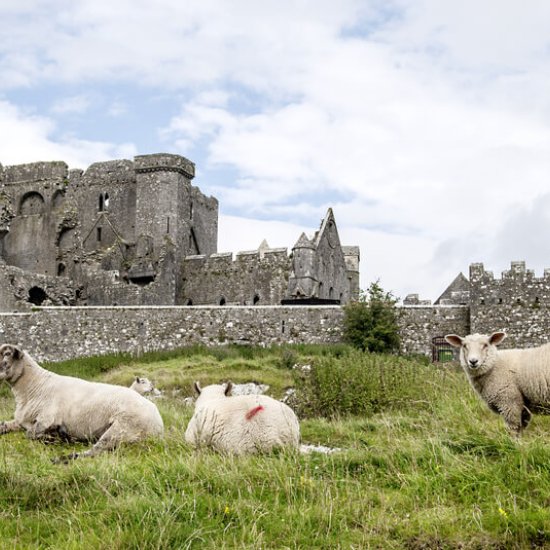Rock of Cashel
