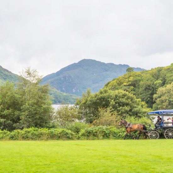 Killarney National Park