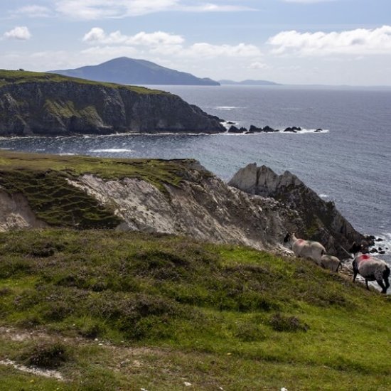 County Mayo