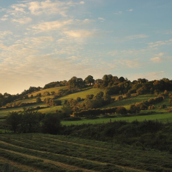County Tyrone